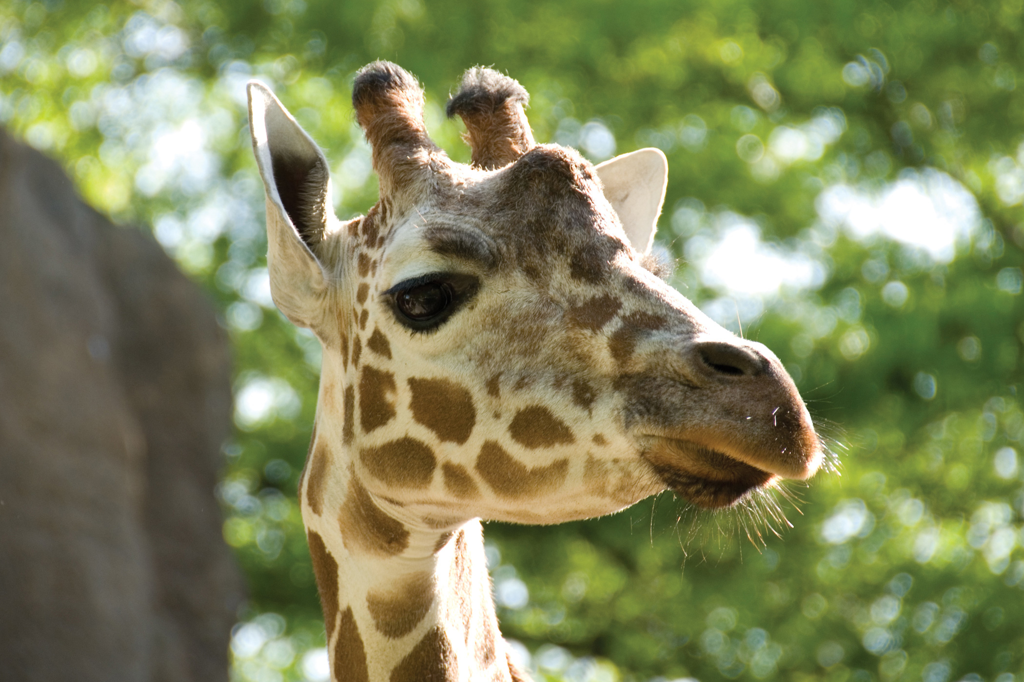 The Philadelphia Zoo Website