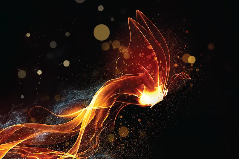 Eden Autism Thumbnail