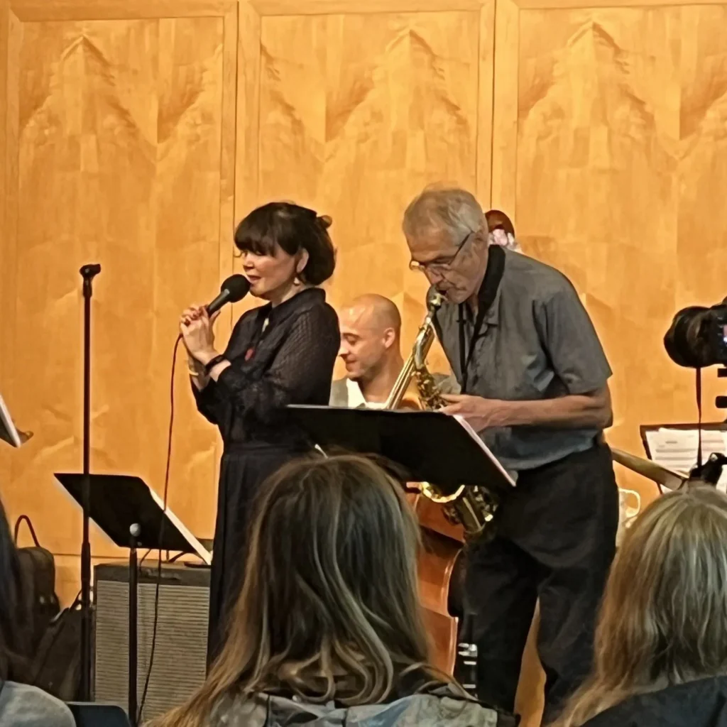 Performers at Porchfest 2026